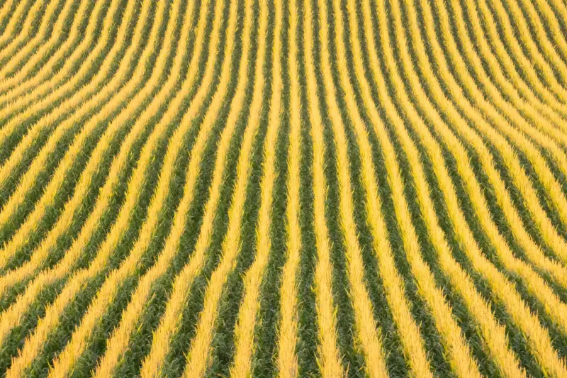电子科�游戏设备型号参数对比：烽玩VGM系列与主流品牌差异分析