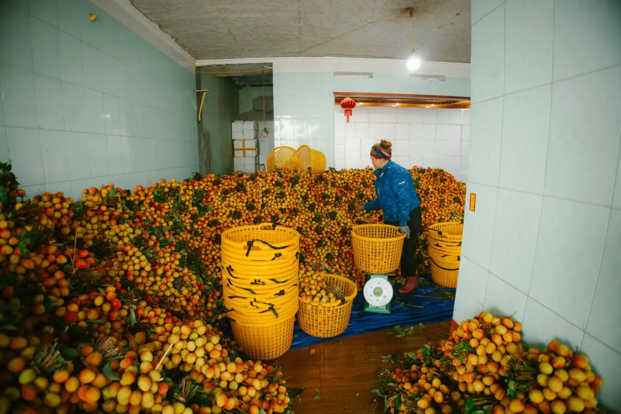 电玩城互动游戏设备选型要点与配置方案