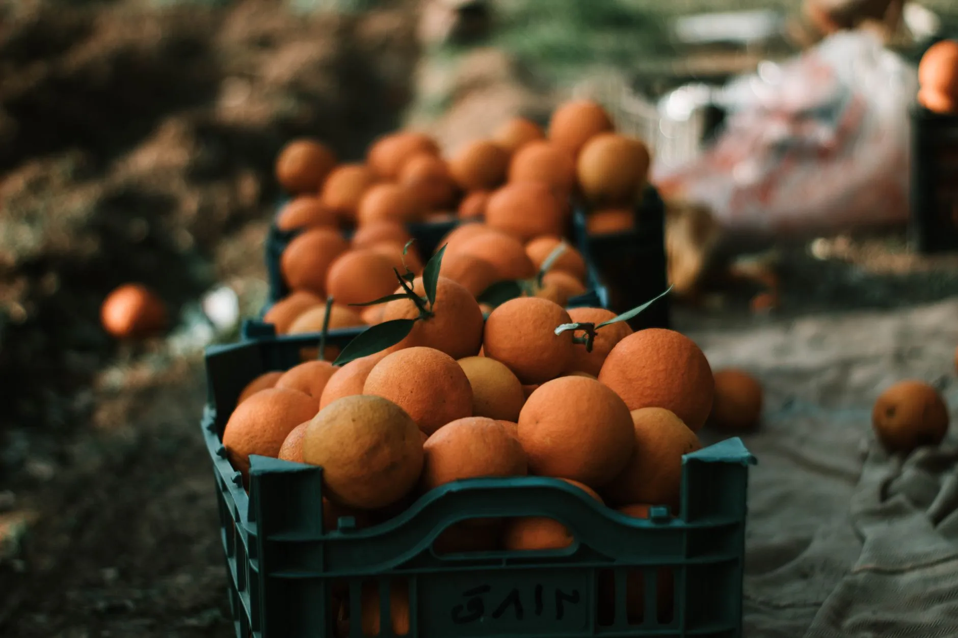 深圳电子科技企业观察：游戏设备与娱乐设备的研发趋势分析