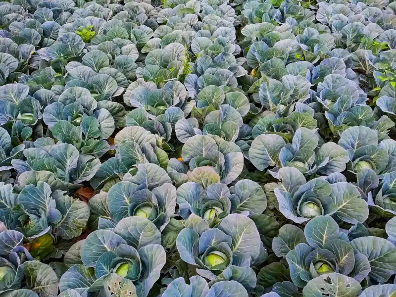 深圳电子科技企业观察：游戏设备与娱乐设备的研发趋势分析