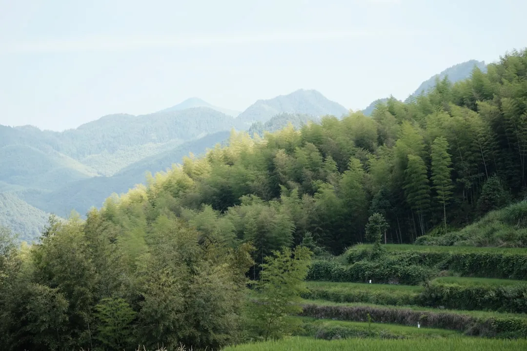 电子科技驱动电玩城设备升级：互动游戏技术应用趋势分析